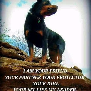 Meet your Posher, Jackie